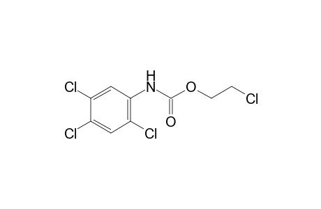 2,4,5-trichlorocarbanilic acid, 2-chloroethyl ester