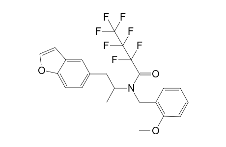 5-APB-NBOMe HFB