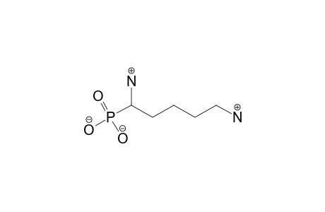 (1,5-DIAMINOPENTYL)PHOSPHONIC ACID