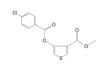 4-hydroxy-3-thiophenecarboxylic acid, methyl ester, p-chlorobenzoate