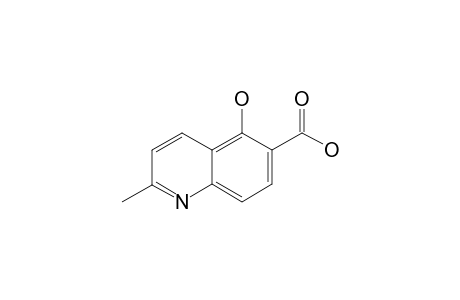 2-METHYL-5-HYDROXYQUINOLINE-6-CARBOXYLIC-ACID