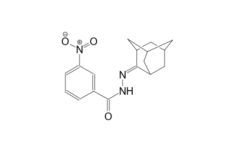 benzoic acid, 3-nitro-, 2-tricyclo[3.3.1.1~3,7~]dec-2-ylidenehydrazide