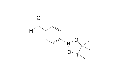 4-Formylbenzeneboronic acid pinacol ester