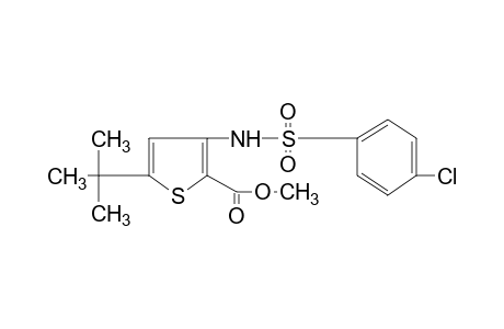 5-tert-butyl-3-(p-chlorobenzenesulfonamido)-2-thiophenecarboxylic acid, methyl ester
