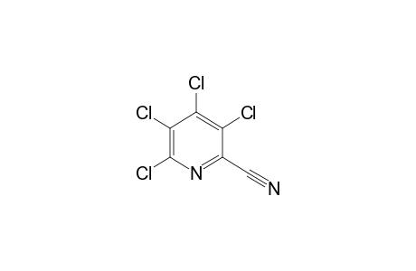 3,4,5,6-TETRACHLOROPICOLINONITRILE