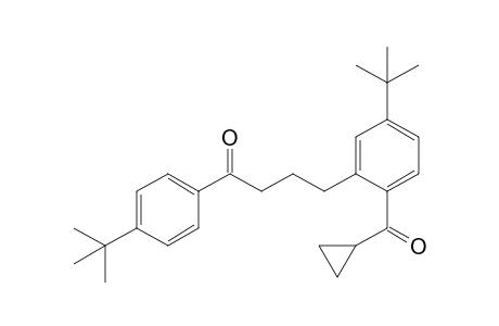 4-[5-tert-Butyl-2-(cyclopropylcarbonyl)phenyl]-1-(4-tert-butylphenyl)butan-1-one