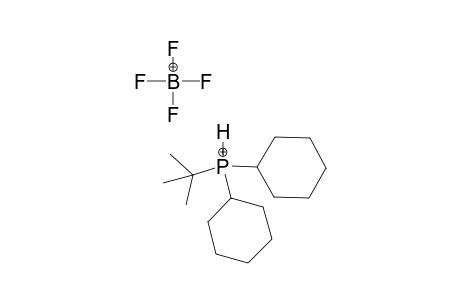 Dicyclohexyl(1,1-dimethylethyl)phosphonium Tetrafluoroborate