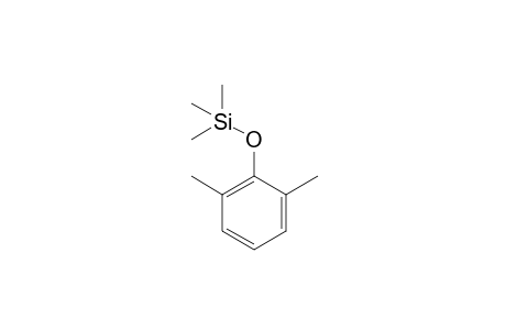 Phenol <2,6-dimethyl->, mono-TMS