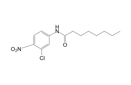 3'-Chloro-4'-nitrooctananilide