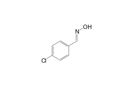 p-chlorobenzaldehyde, oxime