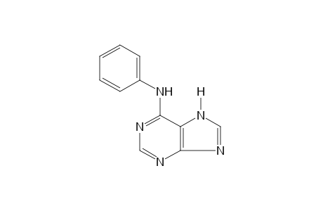 6-PHENYLAMINO-PURINE