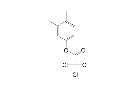 Trichloroacetic acid, 3,4-dimethylphenyl ester