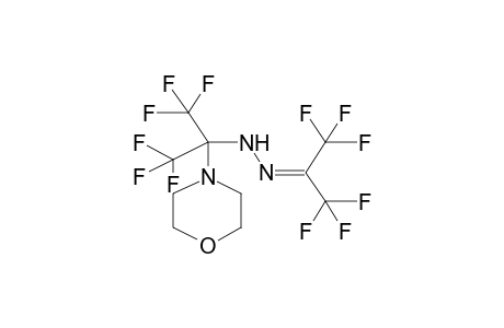 HEXAFLUOROACETONE, N'-(ALPHA-MORPHOLINO)HEXAFLUOROISOPROPYLHYDRAZONE