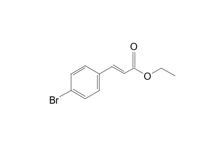 Ethyl trans-4-bromocinnamate