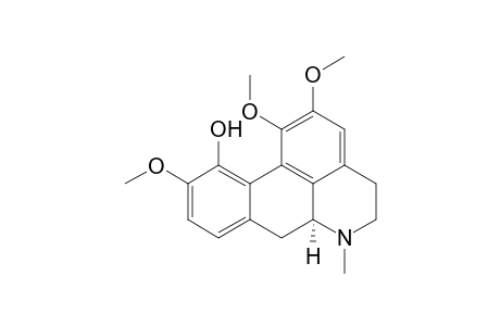 ICD;ISOCORYDINE