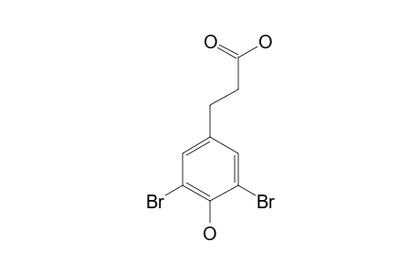 3,5-dibromo-4-hydroxyhydrocinnamic acid