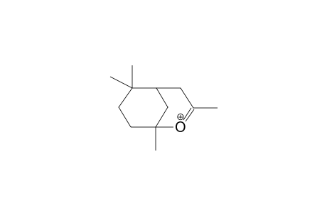 1,3,6,6-TETRAMETHYL-2-OXONIABICYCLO[3.3.1]NON-2-ENE CATION