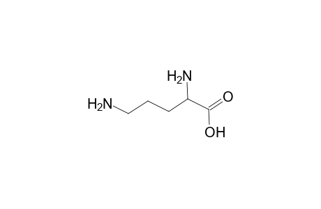 ORNITHINE;REACTED-WITH-HCHO