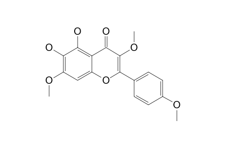 5,6-DIHYDROXY-3,7,4'-TRIMETHOXYFLAVONE