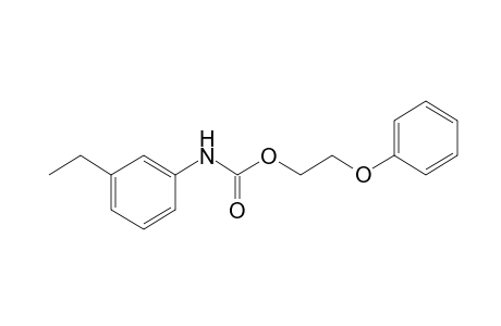 m-ethylcarbanilic acid, 2-phenoxyethyl ester