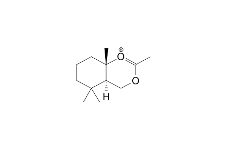 TRANS-3,5,5,9-TETRAMETHYL-1,3-DIOXABICYCLO[4.4.0]DEC-1-ENONIUM CATION