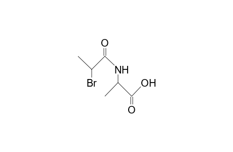 N-(2-bromopropionyl)-dl-alanine