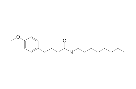 Butyramide, 4-(4-methoxyphenyl)-N-octyl-