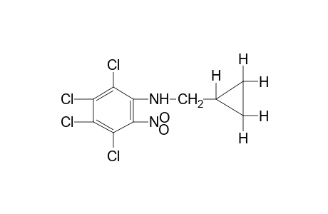 N-(cyclopropylmethyl)-2-nitro-3,4,5,6-tetrachloroaniline