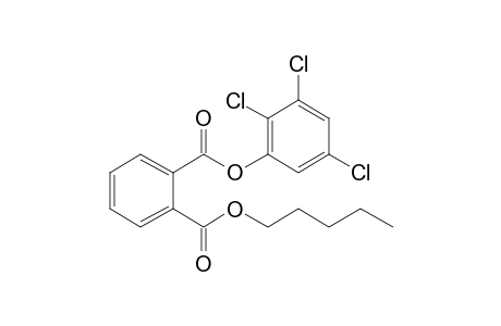 Phthalic acid, pentyl 2,3,5-trichlorophenyl ester