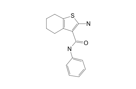 2-Amino-N-phenyl-4,5,6,7-tetrahydro-1-benzothiophene-3-carboxamide