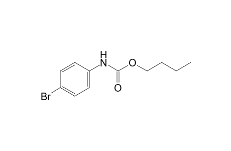 p-Bromocarbanilic acid, butyl ester