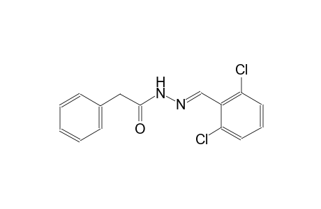 N'-[(E)-(2,6-Dichlorophenyl)methylidene]-2-phenylacetohydrazide
