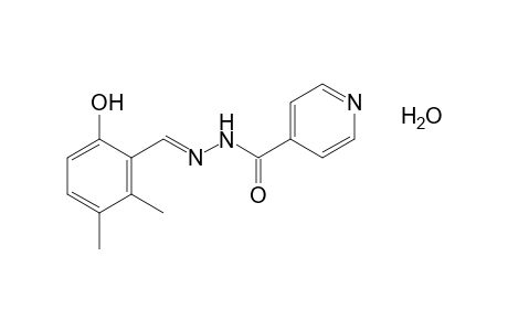isonicotinic acid, (2,3-dimethyl-6-hydroxybenzylidene)hydrazide, monohydrate