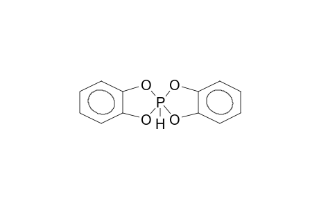 BIS(PYROCATECHINE)HYDROSPIROPHOSPHORANE