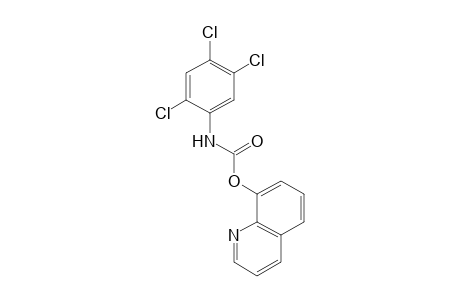 2,4,5-trichlorocarbanilic acid, 8-quinolyl ester