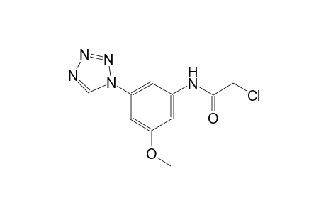 2-chloro-N-[3-methoxy-5-(1H-tetraazol-1-yl)phenyl]acetamide