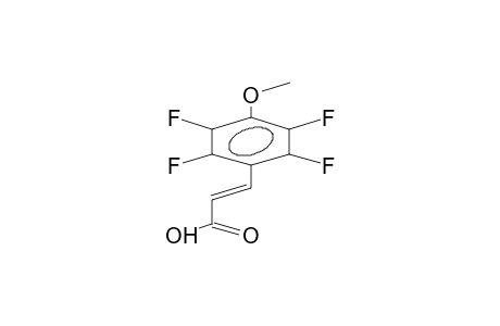 Trans-4-methoxy-2,3,5,6-tetrafluorocinnamic acid