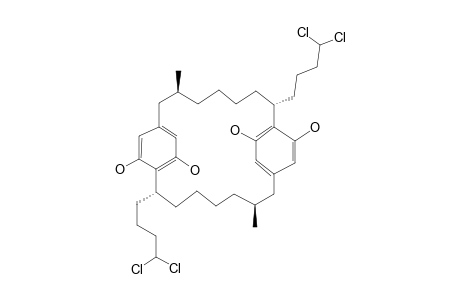 CYLINDROCYCLOPHANE_F_4