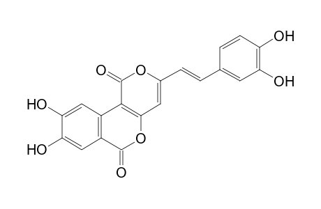 PHELLIGRIDIN_D;3-(3,4-DIHYDROXYSTYRYL)-8,9-DIHYDROPYRANO-[4.3-C]-ISOCHROMENE-4-ONE