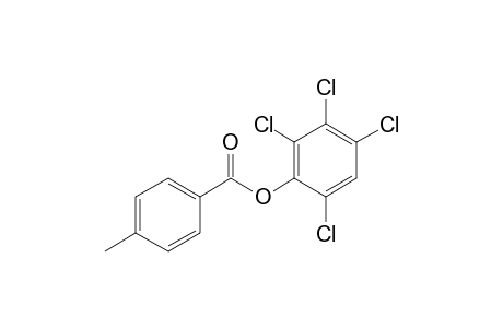 4-Methylbenzoic acid, 2,3,4,6-tetrachlorophenyl ester