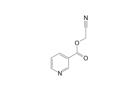 nicotinic acid, cyanomethyl ester