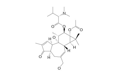 N,N-DIMETHYL-12-(S-VALINOYL)-13-ACETYL-4-ALPHA-4-DEOXYPHORBOL