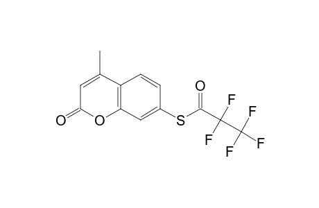 7-Mercapto-4-methylcoumarin, S-pentafluoropropionyl-