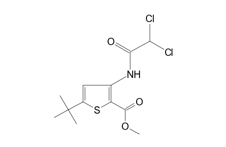 5-tert-butyl-3-(2,2-dichloroacetamido)-2-thiophenecarboxylic acid, methyl ester