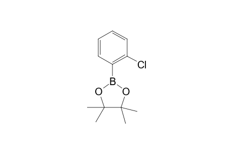 2-(2-Chlorophenyl)-4,4,5,5-tetramethyl-1,3,2-dioxaborolane