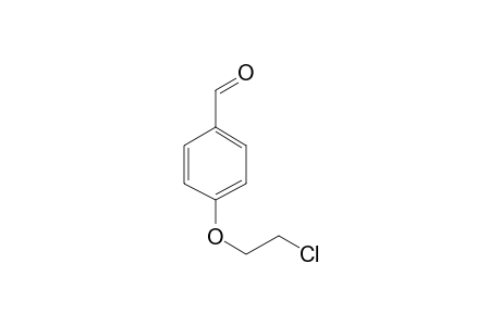 p-(2-Chloroethoxy)benzaldehyde