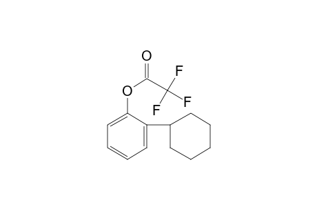 2-Cyclohexylphenol, trifluoroacetate ester