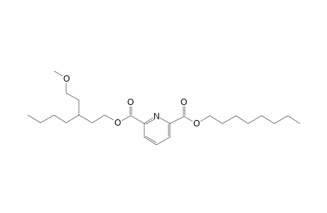 2,6-Pyridinedicarboxylic acid, 3-(2-methoxyethyl)heptyl octyl ester