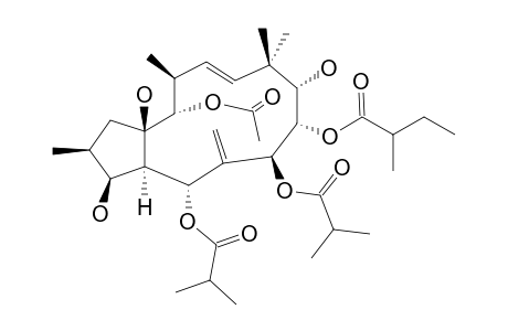 (2S,3S,4R,5R,7S,8S,9S,11E,13S,14S,15R)-3,5,7,8,9,14,15-HEPTAHYDROXYJATROPHA-6(17),11-DIENE-5,7-BIS-(2-METHYLPROPIONATE)-8-(2-METHYLBUTYRATE)