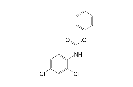 2,4-dichlorocarbanilic acid, phenyl ester